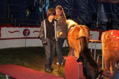 Foto des Albums: Projekt Zirkus - Mittwoch Gruppe B