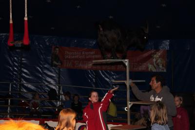 Foto des Albums: Projekt Zirkus - Mittwoch Gruppe B