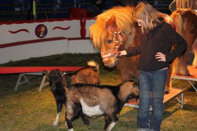 Foto des Albums: Projekt Zirkus - Mittwoch Gruppe B