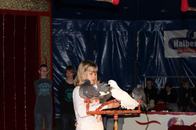 Foto des Albums: Projekt Zirkus - Mittwoch Gruppe B