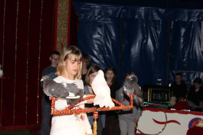 Foto des Albums: Projekt Zirkus - Mittwoch Gruppe B