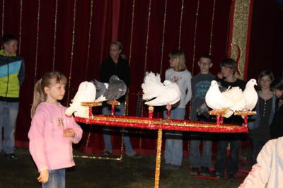 Foto des Albums: Projekt Zirkus - Mittwoch Gruppe B