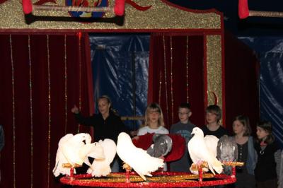 Foto des Albums: Projekt Zirkus - Mittwoch Gruppe B