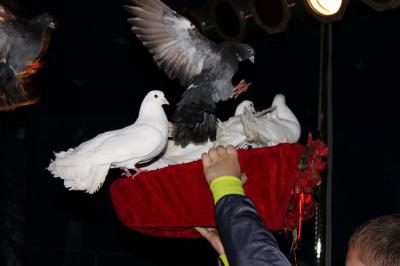 Foto des Albums: Projekt Zirkus - Mittwoch Gruppe B