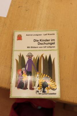 Foto des Albums: Eine Schule entdeckt einen Autor - Astrid Lindgren