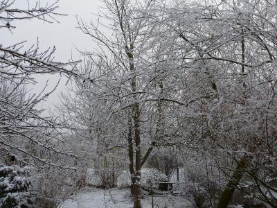 Ganz in Schneewei&szlig;  (Bild vergr&ouml;&szlig;ern)