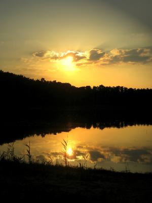 Vorschaubild: Jana Thiem „Der Görnsee im Licht der Abendsonne“