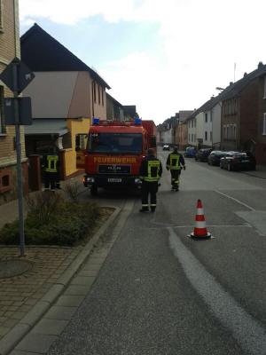 Foto des Albums: Ölspur Wetzlarer Straße