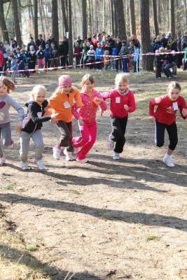 Foto des Albums: Frühjahrscross 2013