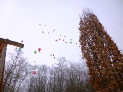 Foto des Albums: Saisoneröffnung 2013