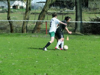 Foto des Albums: HSV - BBC