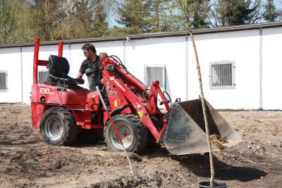 Foto des Albums: Jungzüchter-Workshop auf der Ponyfarm-Gutengermendorf (01.05.2013)