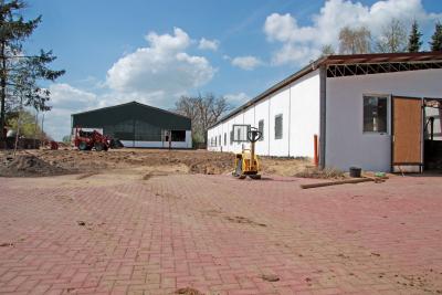 Foto des Albums: Jungzüchter-Workshop auf der Ponyfarm-Gutengermendorf (01.05.2013)