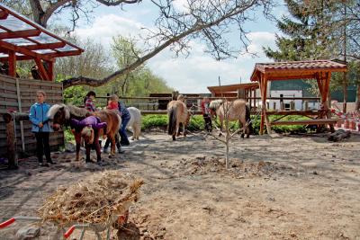 Foto des Albums: Jungzüchter-Workshop auf der Ponyfarm-Gutengermendorf (01.05.2013)