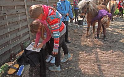 Foto des Albums: Jungzüchter-Workshop auf der Ponyfarm-Gutengermendorf (01.05.2013)