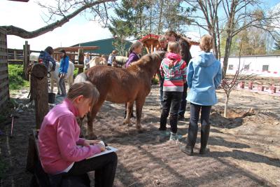 Foto des Albums: Jungzüchter-Workshop auf der Ponyfarm-Gutengermendorf (01.05.2013)