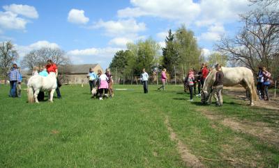 Foto des Albums: Jungzüchter-Workshop auf der Ponyfarm-Gutengermendorf (01.05.2013)