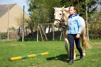 Foto des Albums: Jungzüchter-Workshop auf der Ponyfarm-Gutengermendorf (01.05.2013)