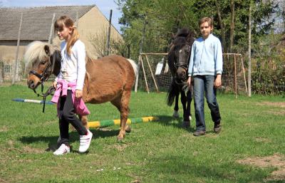 Foto des Albums: Jungzüchter-Workshop auf der Ponyfarm-Gutengermendorf (01.05.2013)