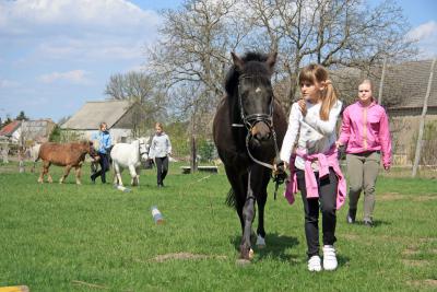 Foto des Albums: Jungzüchter-Workshop auf der Ponyfarm-Gutengermendorf (01.05.2013)