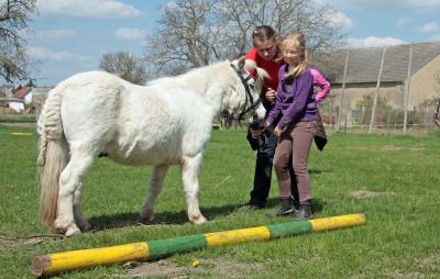 Foto des Albums: Jungzüchter-Workshop auf der Ponyfarm-Gutengermendorf (01.05.2013)