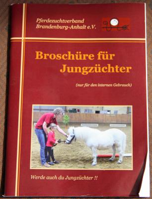 Foto des Albums: Jungzüchter-Workshop auf der Ponyfarm-Gutengermendorf (01.05.2013)