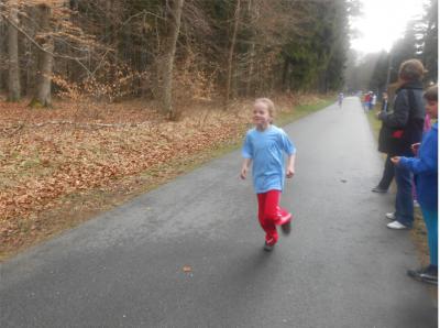 Foto des Albums: Schulcrosslauf