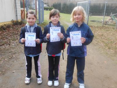 Foto des Albums: Schulcrosslauf