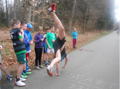 Foto des Albums: Schulcrosslauf