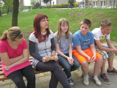 Bild der Galerie