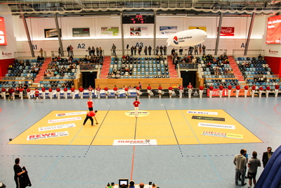 Foto des Albums: Fanfarenzug Potsdam - Auftritt Handball MBS Arena (12.05.2013)