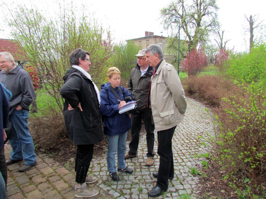 Bild der Galerie