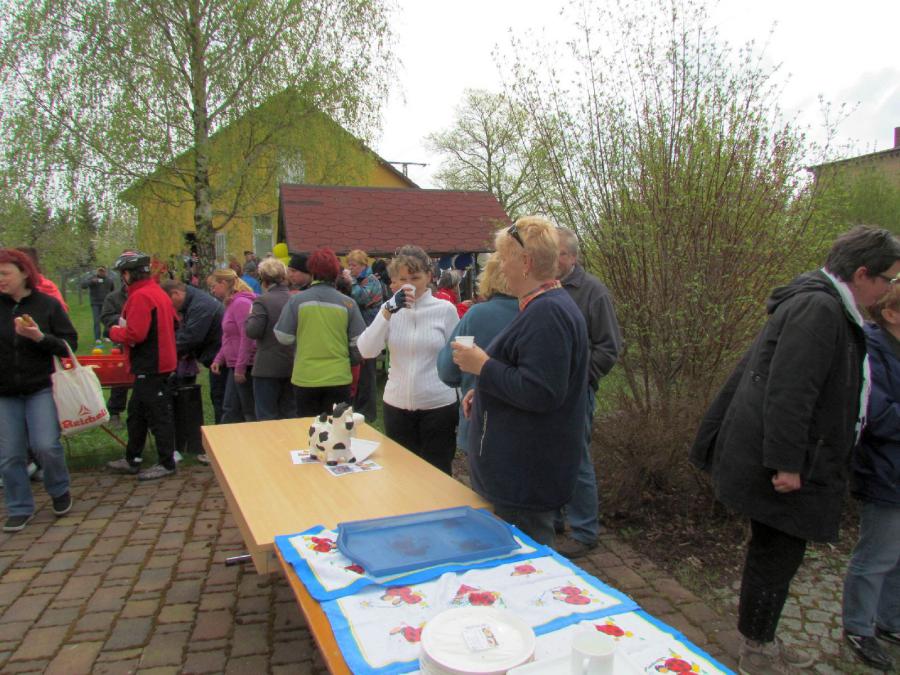 Bild der Galerie