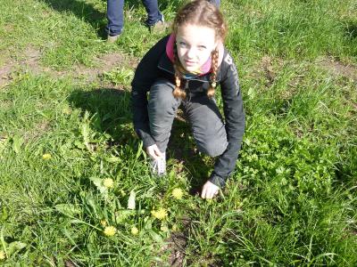 Foto des Albums: Unterricht am Lehrpfad der Oberschule Glöwen mit Grundschulteil (17. 05. 2013)