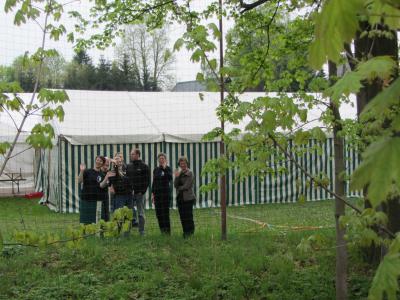 Foto des Albums: Bobritzschtaltreffen