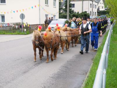 Foto des Albums: Bobritzschtaltreffen