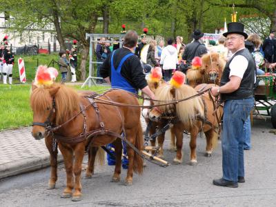 Foto des Albums: Bobritzschtaltreffen