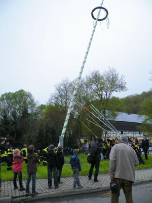 Foto des Albums: Bobritzschtaltreffen