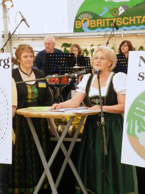 Foto des Albums: Bobritzschtaltreffen