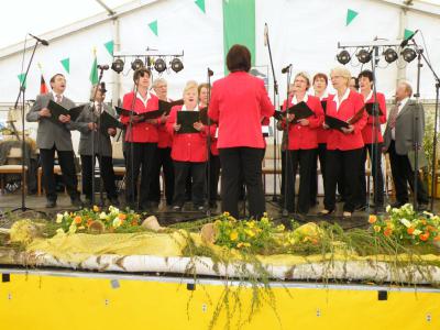 Foto des Albums: Bobritzschtaltreffen