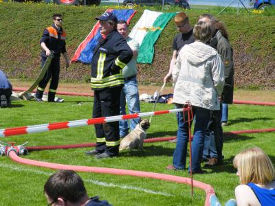 Foto des Albums: Bobritzschtaltreffen