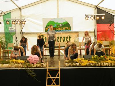 Foto des Albums: Bobritzschtaltreffen