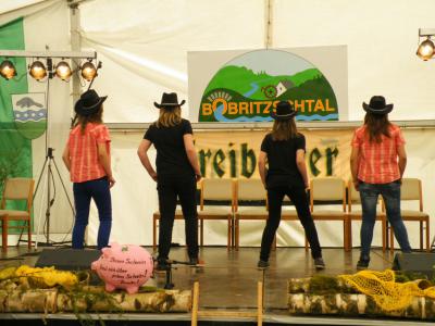 Foto des Albums: Bobritzschtaltreffen