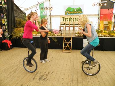 Foto des Albums: Bobritzschtaltreffen