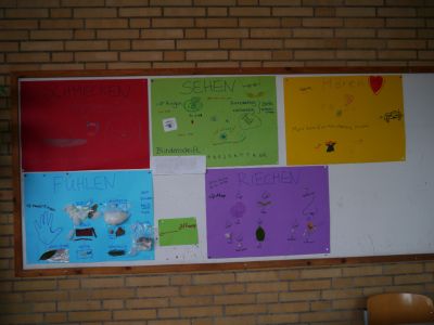 Foto des Albums: Projektwoche "Miniphänomenta"