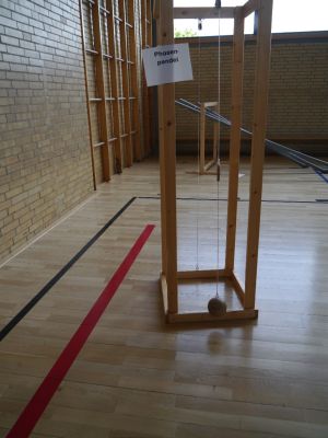 Foto des Albums: Projektwoche "Miniphänomenta"
