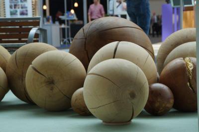 Foto des Albums: Wonders in wood - eine Bilanz