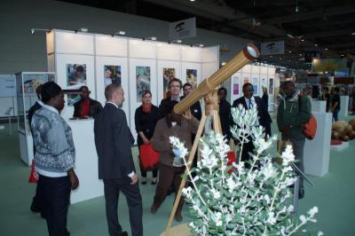 Foto des Albums: Wonders in wood - eine Bilanz