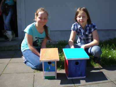 Bild der Galerie