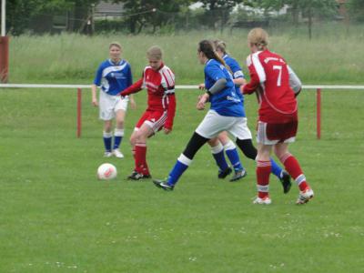 Foto des Albums: HSV - Beetz/Sommerfeld
